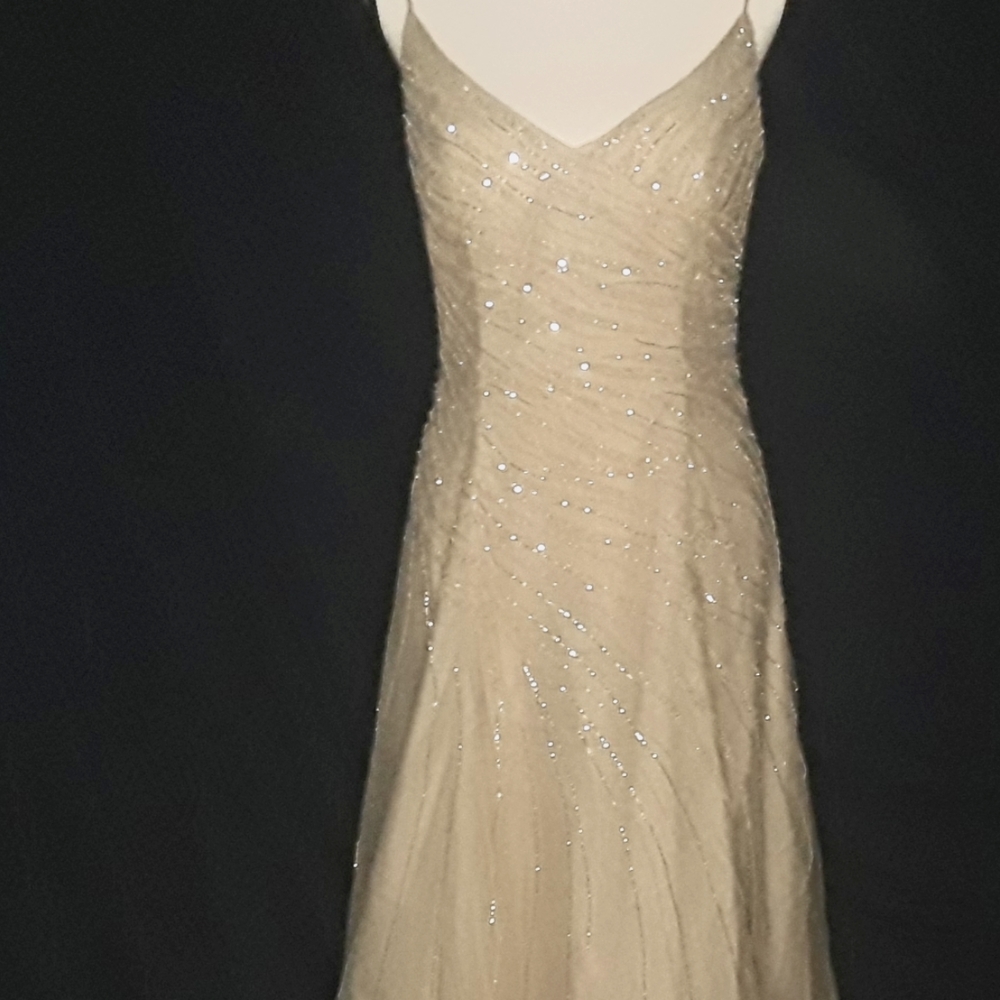 TIFFANY DESIGNS BEADED GOWN 6